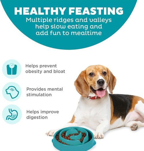 Medium Fun Feeder Slo Bowl - 2-Cup Capacity for Slow Feeding, Suitable for Small to Medium Dogs and Cats, Non-Slip Design in Turquoise with Drop Pattern