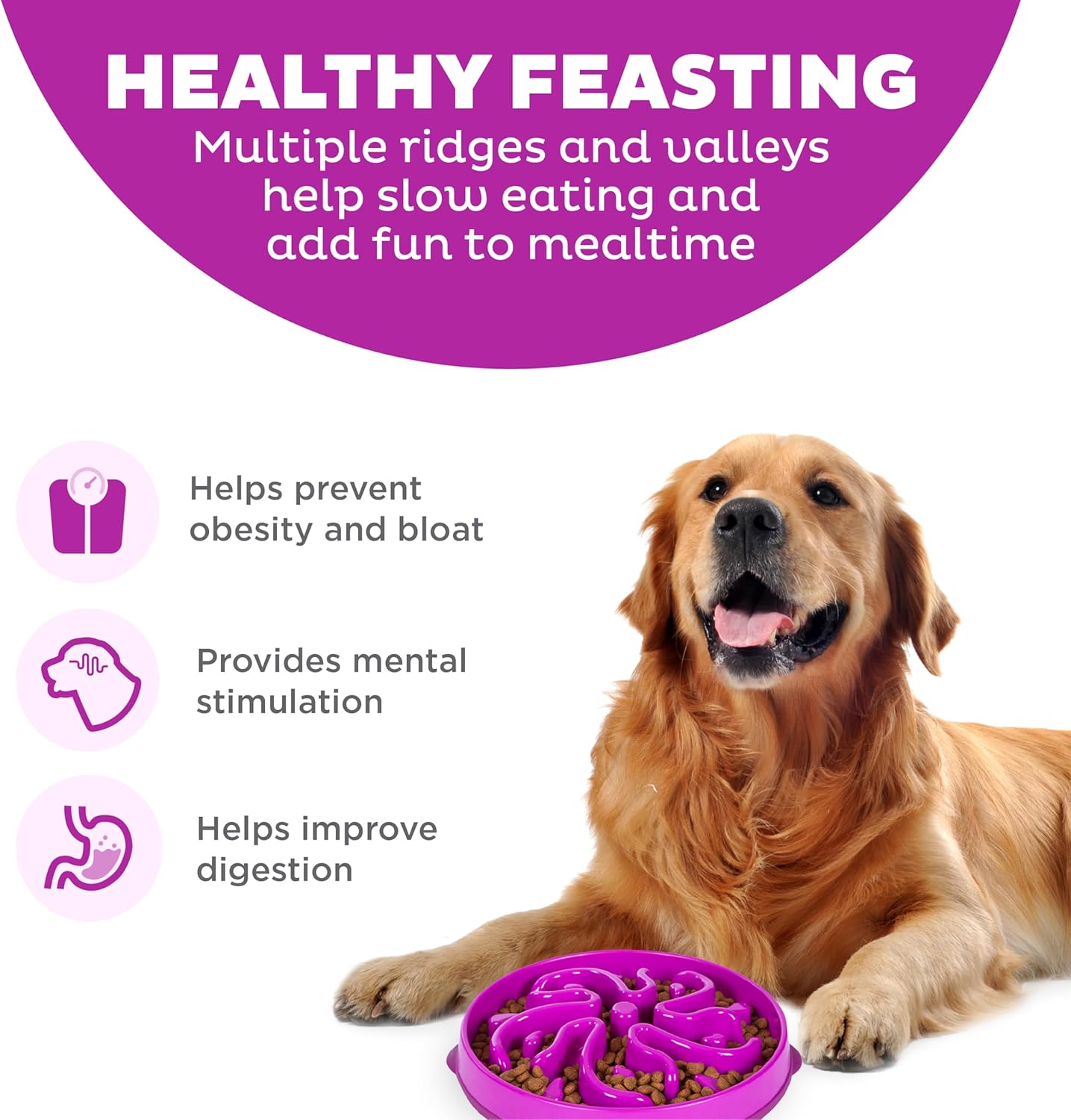 Storeroomx Feeder Slow Bowl – Large 4‑Cup Capacity, Slow Feeding, Medium to Large Dogs, Non‑Slip, Purple, Flower Pattern